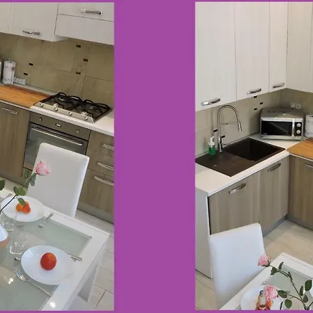 France 2 Max 4 Persons شقة نيس